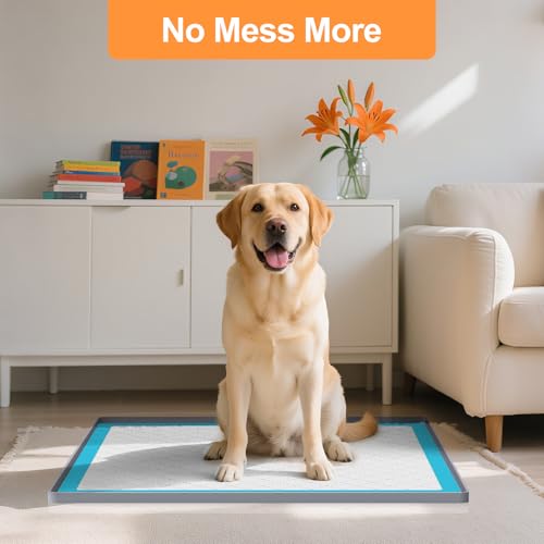 Pee Pad Tray Holder for Dogs (Light Gray / 25"L x 25"W)