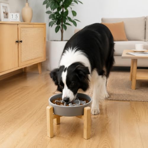 8.66 in Dog Bowl Ceramic Slow Feeder for Medium Large Dogs (Gray / 8.66in)