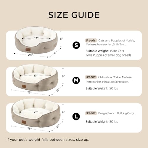 Small Dog Bed Washable (20"L x 19"W x 6"Th / Pale Bean Green)