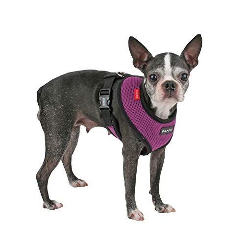Soft Dog Harness No Choke Over (Purple / X-Large)