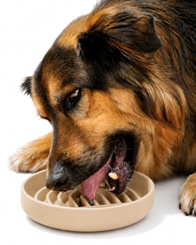 Slow Feeder Dog Bowl (Sand - Rainbow Design / Medium (7.5” Across x 1.5” Tall))