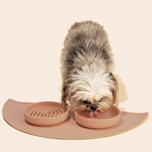 Slow Feeder Dog Bowl (Blush - Rainbow Design / Small (6” Across x 1.25” Tall))