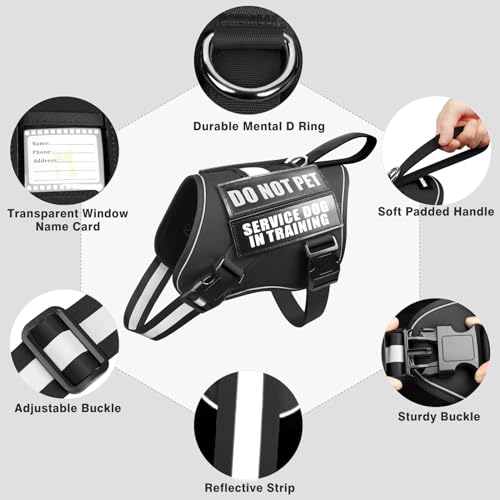 Service Dog Harness and Leash Set (Small / Black)