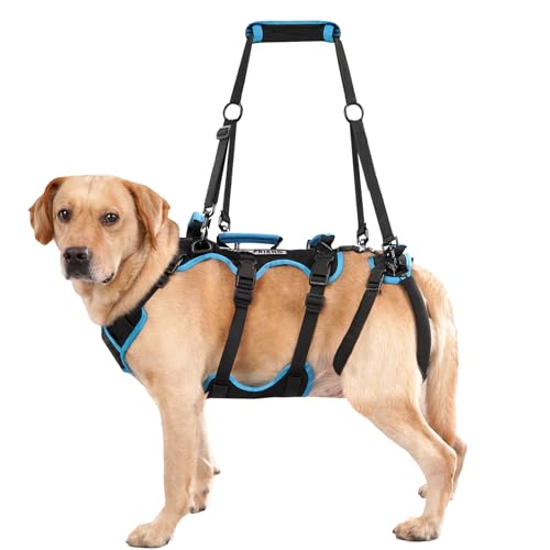 Dog Lift Harness for Large Male Dogs (Large / Black)