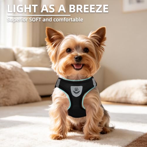 Dog Harness Collar and Leash Set No Pull for Small Medium Sized (Solid Black / M (CHEST 16"-18"))