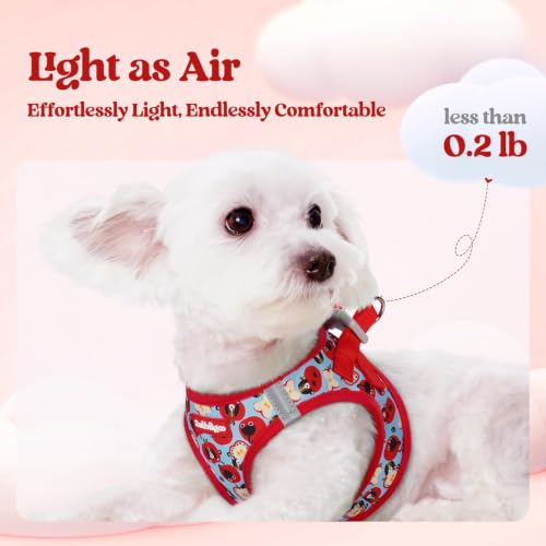 Dog Harness Small Sized and Leash Set (Apple Pups / Xs (chest: 13.3 - 15.5"))
