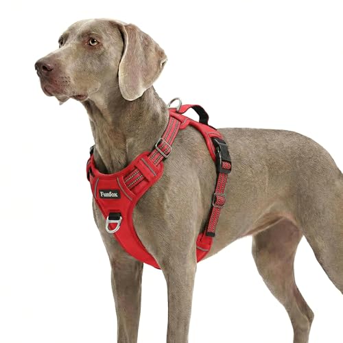 Dog Harness No Pull (Red / X-Large)