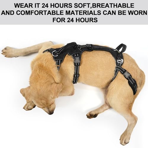 Mobility Dog Lift Harness (Black / XL)
