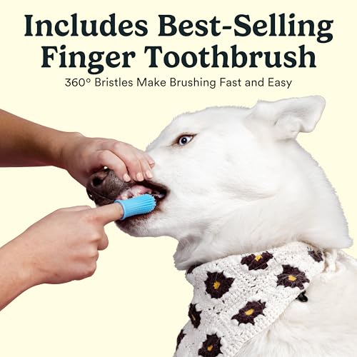 Dog Tooth Brushing Kit and Dog Toothpaste