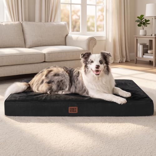 Washable Dog Crate Bed for Medium Dogs (Black / 30*20*3 Inches)