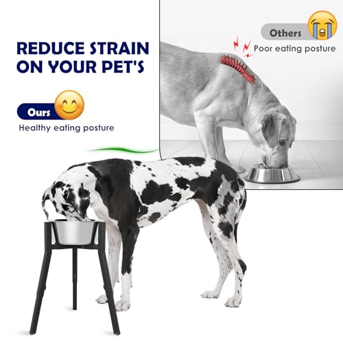 Elevated Dog Bowl Stand for Large Dogs (Height: 12.9-18.9", Width: 8.3-12.6" / Black, 12.9-18.9H-Square)