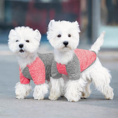2Pack Dog Shirt for Small Dogs Sun Protection Tank Top with Sleeves (Large (13-19lbs) / 5# 2Pack(Coral Red+Grey))