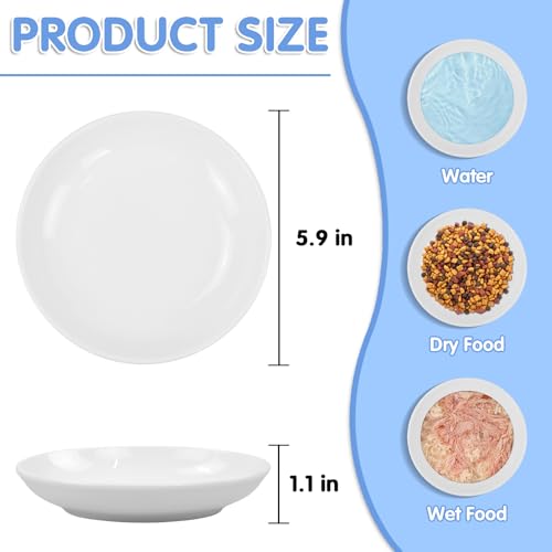 6 Pack Cat Food Bowl (White)
