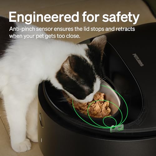Automatic Wet Food Cat Feeder 2026 New Version with Semiconductor Cooling (Black / Feeder)