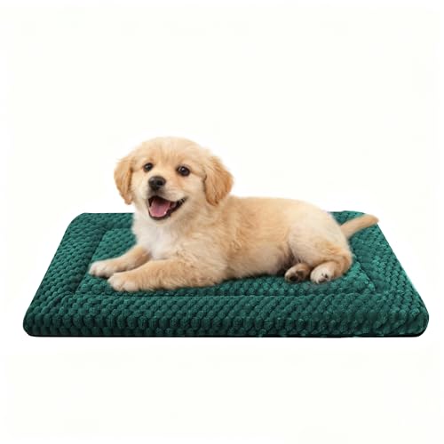 Dog Bed Crate Mat (S(24"*18"*1.5") / Dark Green-1pc)