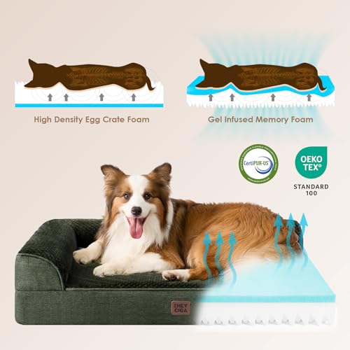 Orthopedic Dog Bed Medium Size (Dark Green / 30.0"L x 20.0"W x 6"Th)