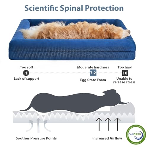 XXXL Big Large Orthopedic for Senior Dog Bed Comfy Sleeping (Blue / XXX-L (53x43x7.5in))