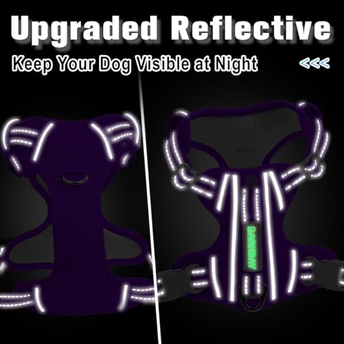 No Pull Dog Harness for Medium Sized Dogs (Medium(Chest:22.5-28") / Purple-Oxford)