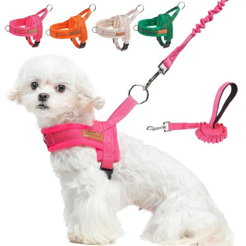 Small Dog Harness and Leash Set (Dark pink / XS: Chest 15"-18")