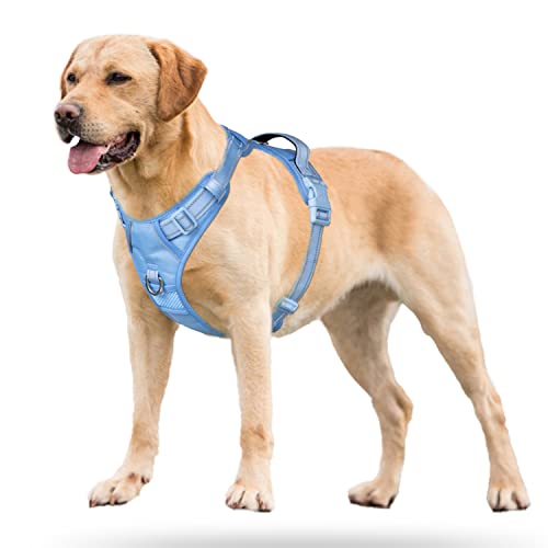No Pull Dog Harness (L / Light Blue(Matching Trim))