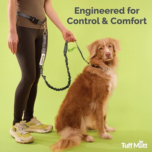 Waist Hands Free Dog Leash for Walking Running Hiking (green/gray)