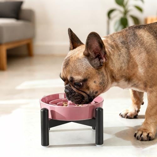 Elevated Slow Feeder Dog Bowl (Pink / S（1 Bowl with Stainless Steel Stand）)