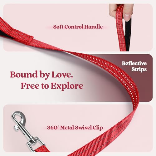 Dog Harness Small Sized and Leash Set (Red Check / Xs (chest: 13.3 - 15.5"))