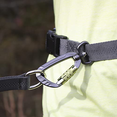 Hands Free Waist Leash for Dog Walking (Carabiner/Green)
