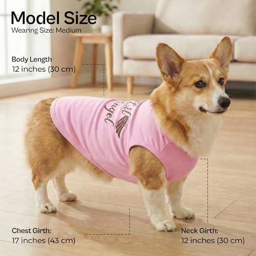 Dog Shirt 100% Cotton Lil Angel Shirts for Medium Dogs (M)