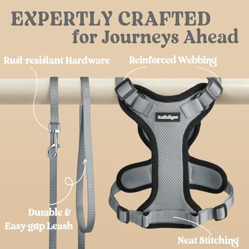 Cat Harness and Leash Set (M / Grey)