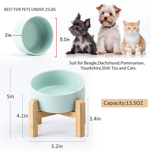 Raised Elevated 15°Slanted Ceramic Dog Bowl for Small Breeds (Blue Sky / 1.7 CUPS - Puppy/Small Dogs & Cat Bowls)