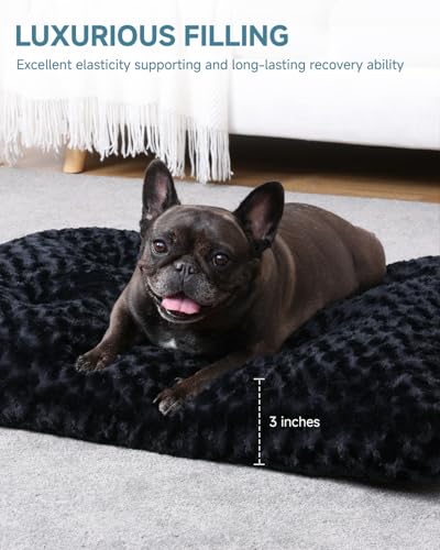 Washable Dog Bed Small Dog Crate Bed Deluxe Plush Mat 23"x18" Black (Black / 23.0"L x 18.0"W x 3.0"Th)