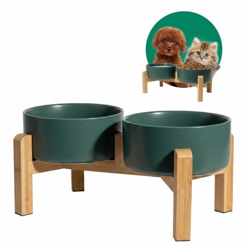 Elevated Ceramic Dog Bowl (Green / Small)