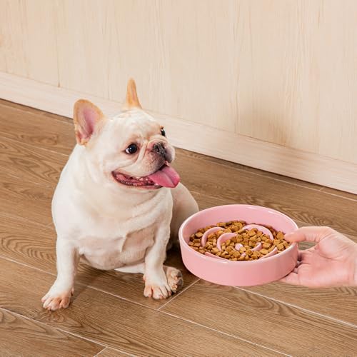 Ceramic Slow Feeder Dog Bowl (S - 0.6 Cups / Pink)