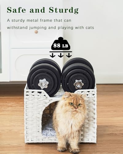 Cat Beds Indoor Kitten House (White / Rectangle-M)