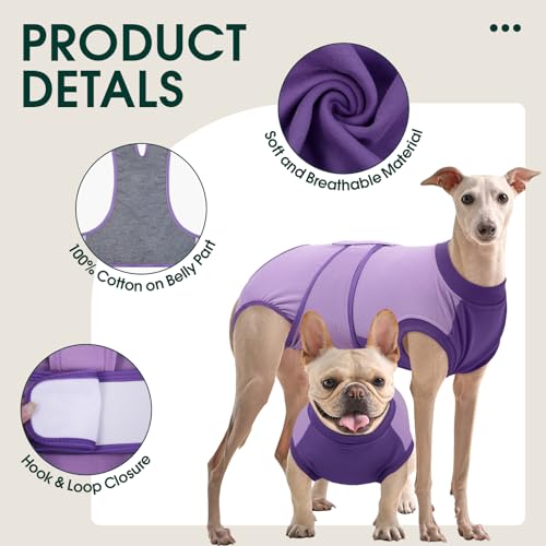 Dog Recovery Suit (Purple / XX-Large)