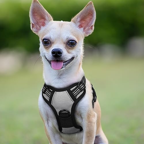Dog Harness No Pull with 2 Leash Clips (X-Small / Gray)