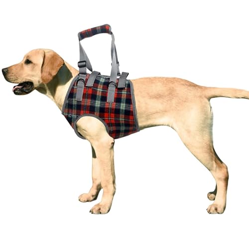 Dog Lift Harness (Medium / Chest-Orange)