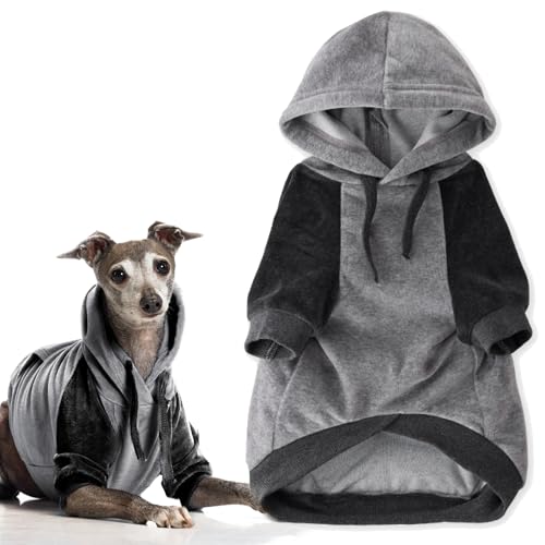 Cooper II Dog Hoodie (Heather Gray Color Block / Medium (20-45 lbs))
