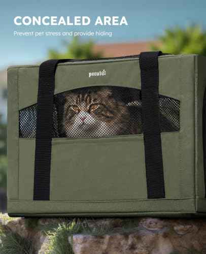 Cat Carrier Stable (Green / 19.6"L x 14.9"W x 13.7"H)