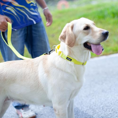 Short Dog Leash 24" (Luminous Yellow / 24 Inches)