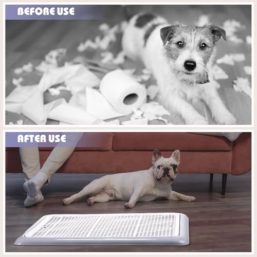 Dog Pee Pad Holder Tray with Mesh Potty Training (19.69 x 14.17 Inch)