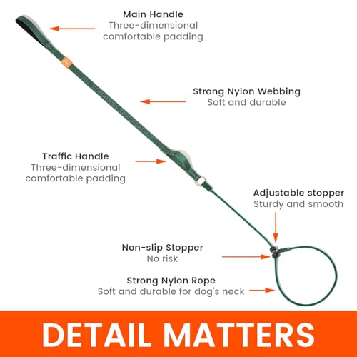 Slip Lead Dog Leash with 2 Spring (Red / 5.0FT)
