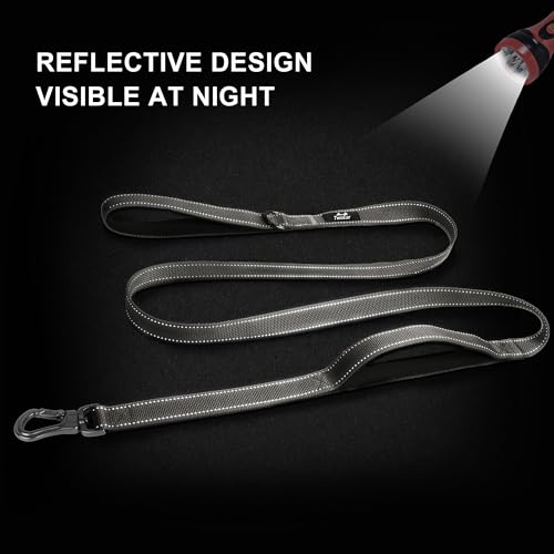 5FT 1IN Heavy Duty Dog Leash for Large Dogs with 2 Padded Handles (Grey / 1 in x 5 ft)