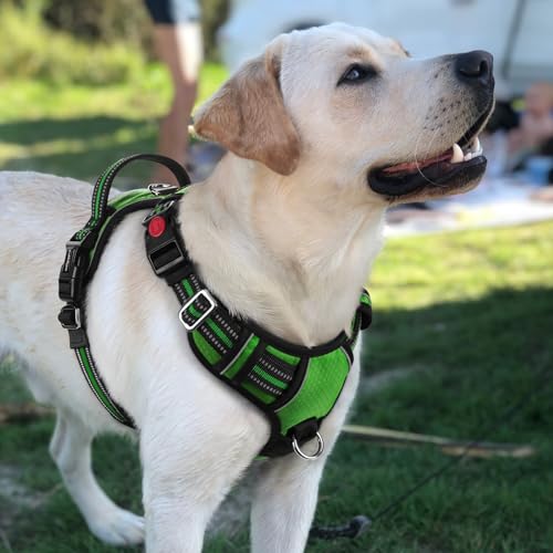 Dog Harness for Large (Green / Large)
