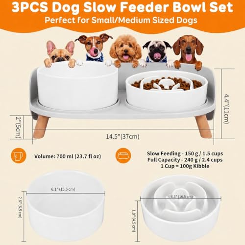 Elevated Slow Feeder Dog Bowls with Splash Proof Stand (Medium / White)