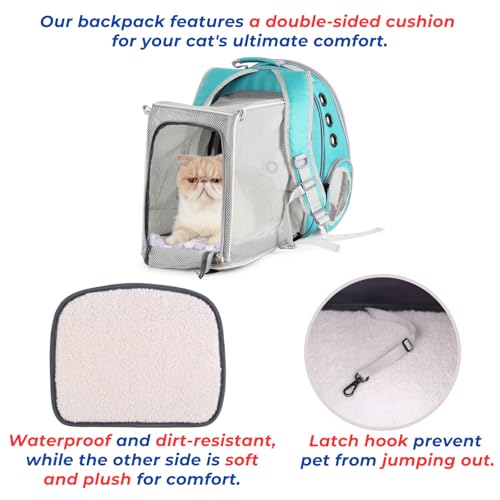 Cat Carrier Backpack (Square Back Expandable-Green)