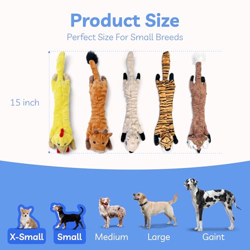 Dog Squeaky Toys 5 Pack (Small / Bubble Plush-5 Pack)
