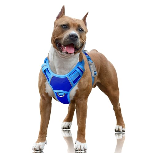 Dog Harness for Large Dogs No Pull Dog Vest ID Tag Pocket (Sapphire Blue & Blue / Large)