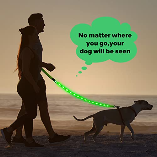 LED Dog Leash (GreenⅡ)
